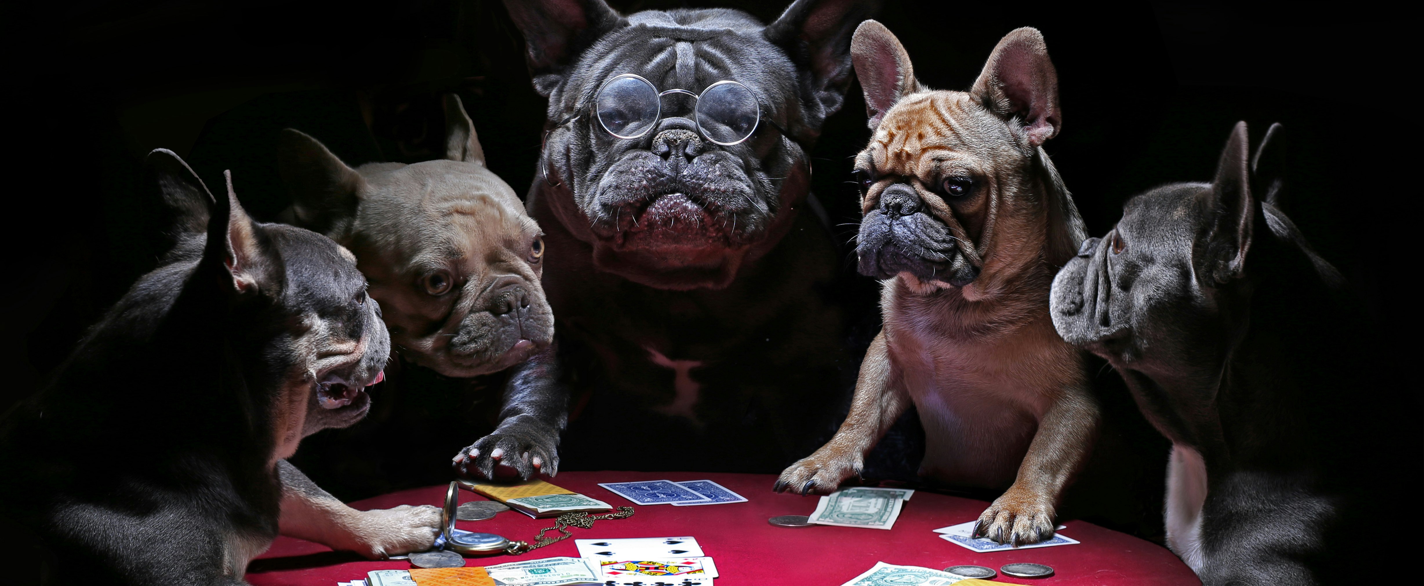 Funniest casino dealer memes